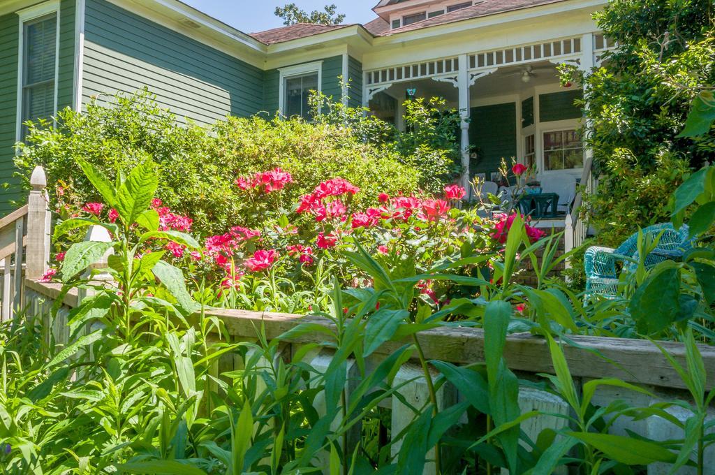 Holly House Of Hamilton Bed & Breakfast Eksteriør bilde